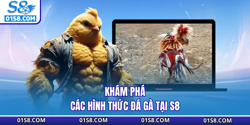 Khám phá các hình thức đá gà tại S8
