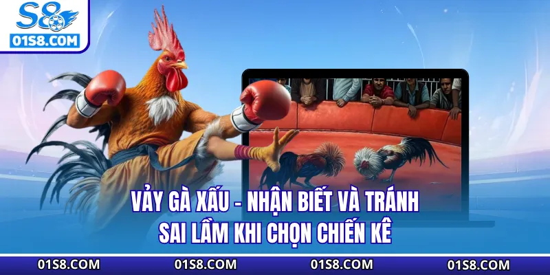 Vảy Gà Xấu - Nhận Biết Và Tránh Sai Lầm Khi Chọn Chiến Kê